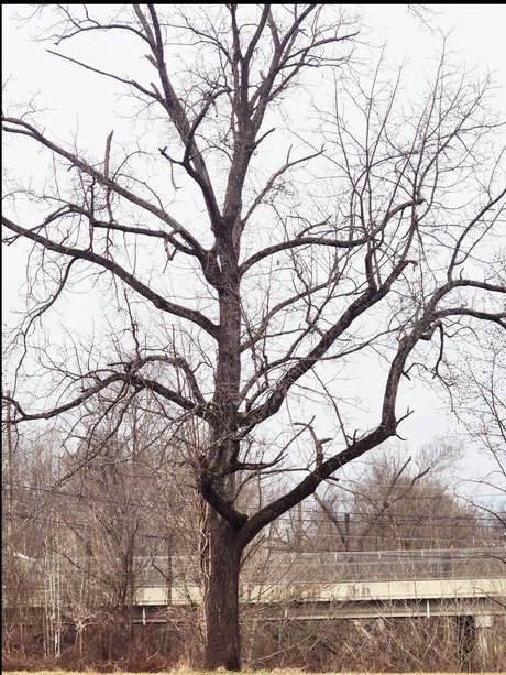 ティーンランジェリーオンリーファンズ 無料 写真