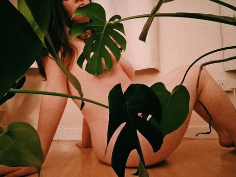 水着オンリーファン セクシーヌード 写真