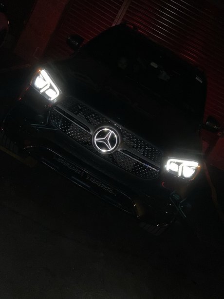 El perverso アート女優 写真