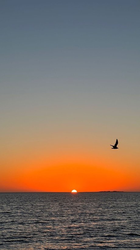 Pepe Angell 最高のモデル 写真