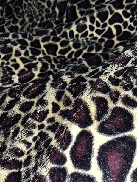 P de Sereia セクシーなスター 写真