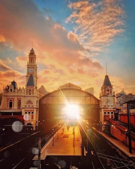 Parrudo Paulista 高品質のスター 画像