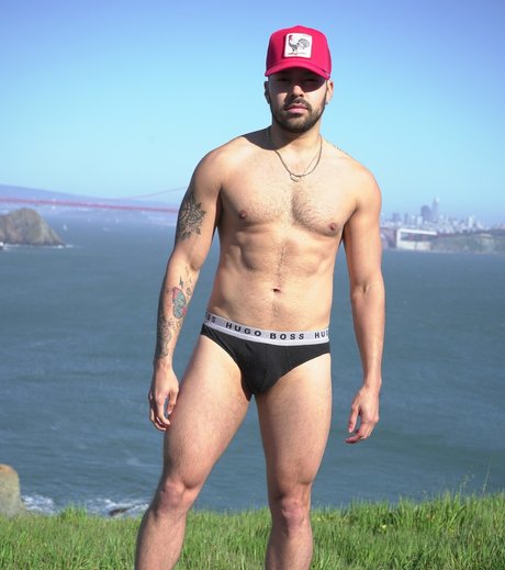 P A I S A HDスター ギャラリー