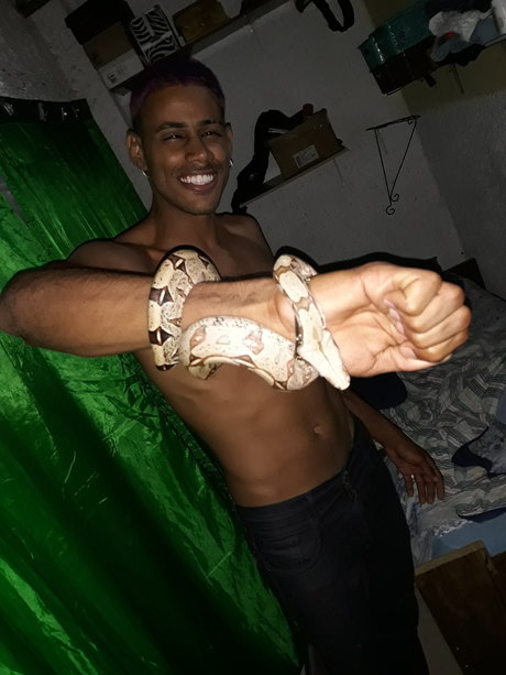 Enzo Pitanga 完璧なポルノスター 画像