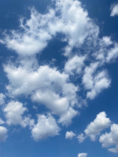 pretty richard 独占ポルノスター ギャラリー