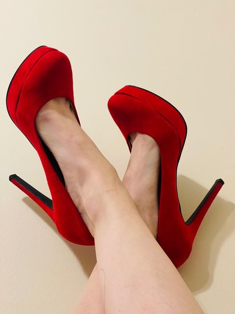 Premiumtootsies ホットモデル アーカイブ