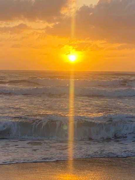 Pittsy スター ヌード 写真