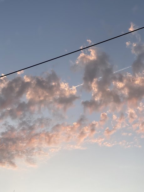 Pinta Exceptionnelle 無料スター 画像