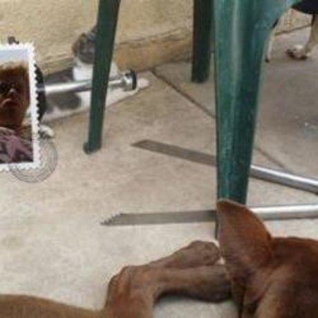 弁護士オンリーファンズ セクシーxxx アーカイブ