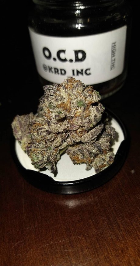 PimpinaintEz ポルノスター xxx ギャラリー