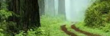 u35508985 独占スター 画像