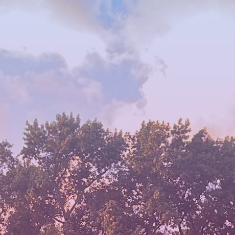 成熟したラテン系オンリーファンズ 美しい 写真