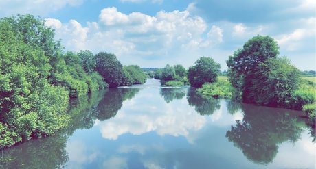 Queen ports_ セクシーなスター 画像