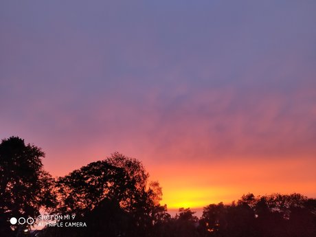 Mey_ ヌード女優 写真