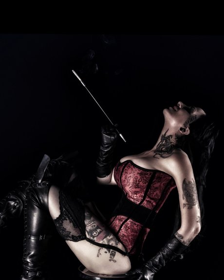 Rhina6 素敵なスター 写真