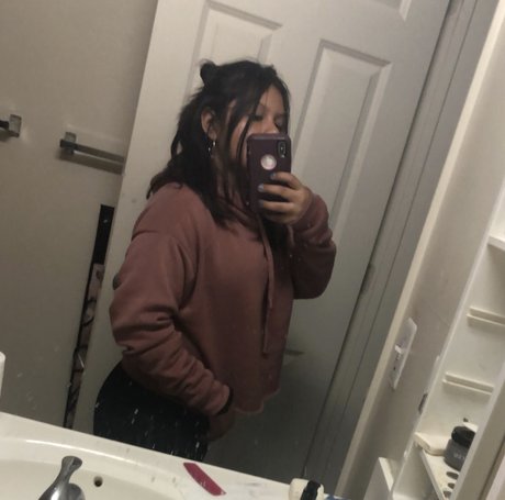 ReSaPa HDモデル ギャラリー