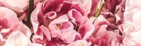 redhoneybaby トップ女優 画像