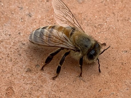 Reasonableish 最高の女優 画像