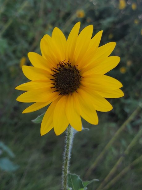 戦利品オンリーファンズ 美しい アーカイブ