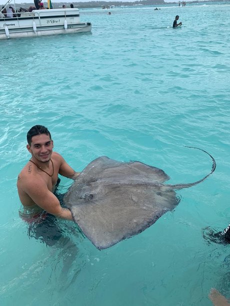 Marcus Mandic 素敵なスター アーカイブ