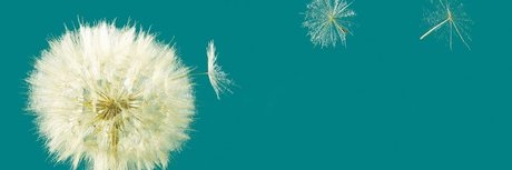 Manuel Ballher アートスター 画像