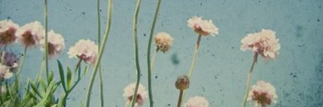 Niki Rae_ ポルノスター 画像