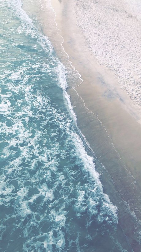 sunny_ セックススター 写真