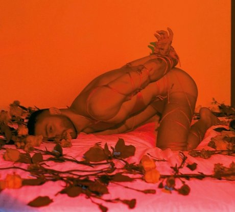 MAVERICK_ HDモデル 写真