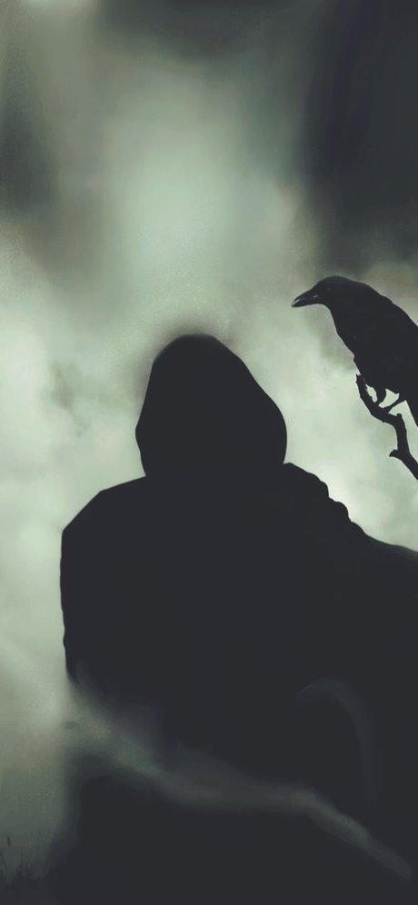 Black 1 トップポルノスター アーカイブ