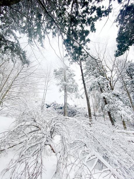 Mason Woods 美しいモデル 写真