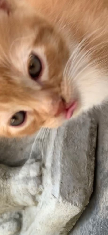 Isaac Gonzalez ヌードモデル 写真