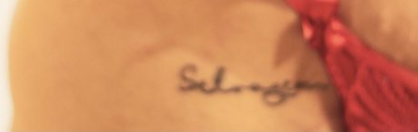 Me chama de F nix_ 完璧なスター 画像