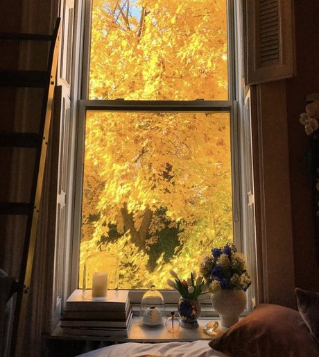 _Bigredd__ 裸のポルノスター ギャラリー