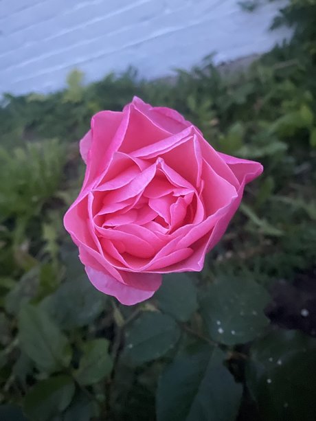 肉厚熟女オンリーファンズ ベスト 写真