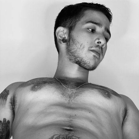 Maycoll トップポルノスター 写真