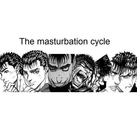 Mayan Stallion 美しいスター 写真