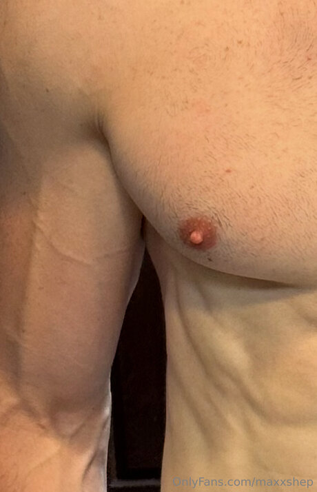 Max Shepard トップモデル 写真