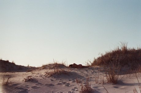 meredith アダルトスター 写真