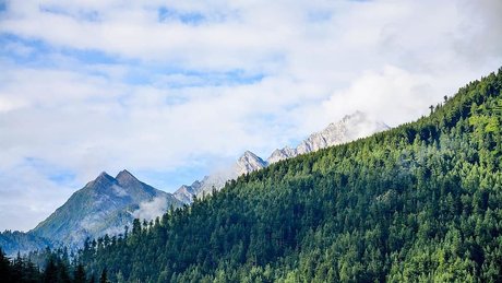 Bela San TS HDモデル 画像