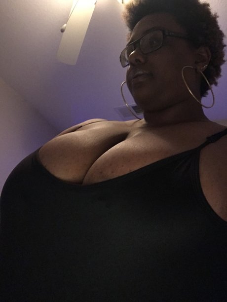 damnbeck 06 無料のスター 画像