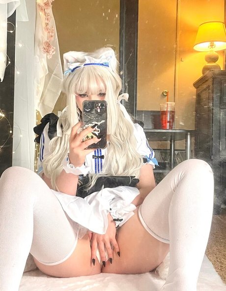 Pockycats 完璧なスター アーカイブ