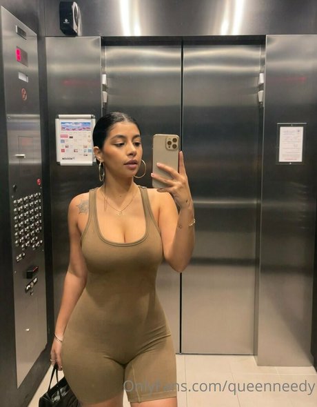 Queenneedy 高品質のポルノスター 画像