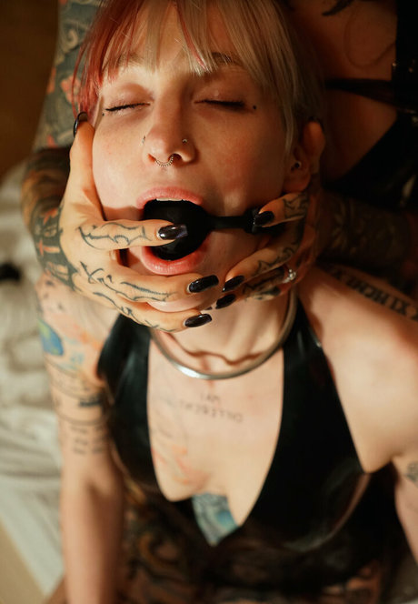 Mrs Nice ホットスター 写真