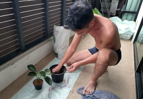 hornypuca ポルノスター 素敵 写真