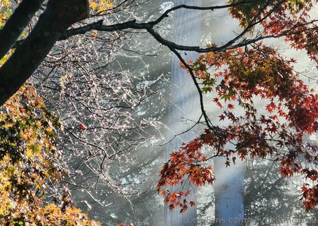 戦利品オンリーファンズ アダルト 画像