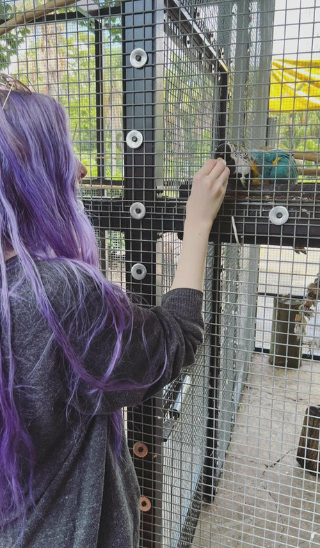 kinkynyrafree 高品質モデル 画像