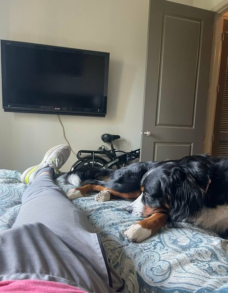 tiktokcody かわいいスター ギャラリー