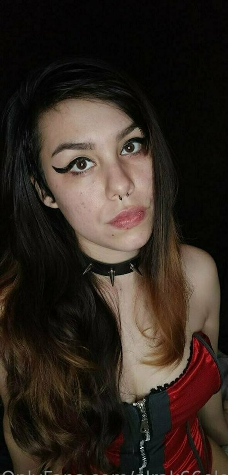 alrak66elocin HDモデル 画像