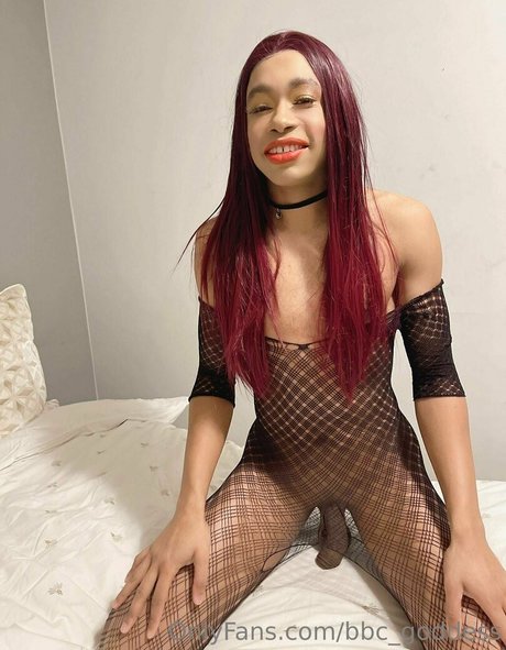 bbc goddess ホットスター 写真