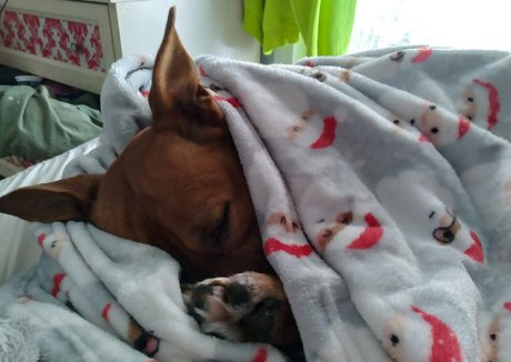 phoebefatter ポルノスター 素敵 ギャラリー